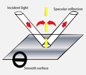 Schematic diagram of specular reflection